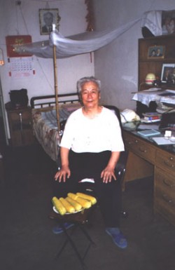 Il Prof. Yu Yongnian nella sua abitazione (2002)